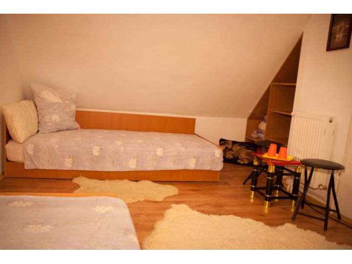 Pensiunea Casa TYK, Ranca - imaginea