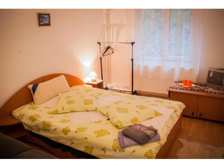 Pensiunea Casa TYK, Ranca - imaginea