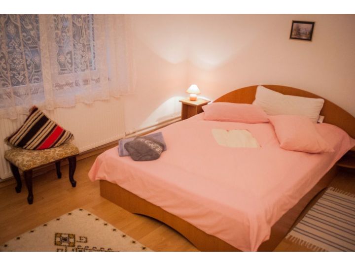 Pensiunea Casa TYK, Ranca - imaginea