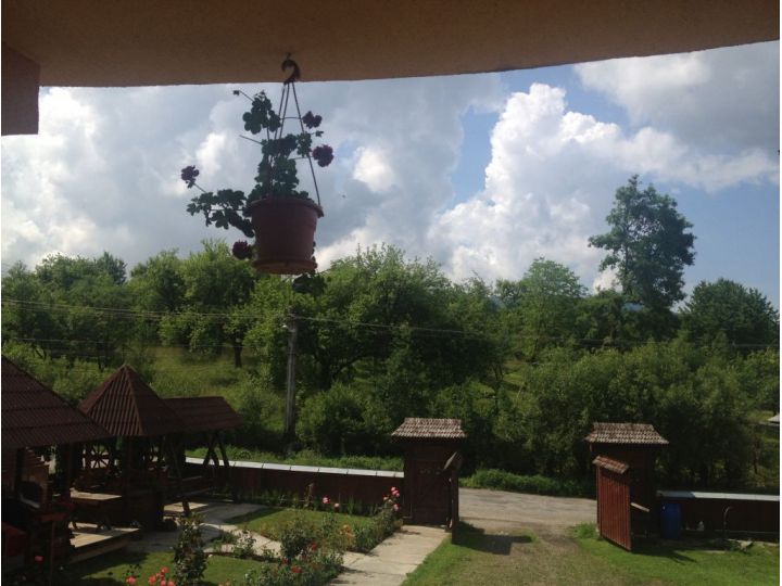 Pensiunea Maramures, Ocna Sugatag - imaginea 