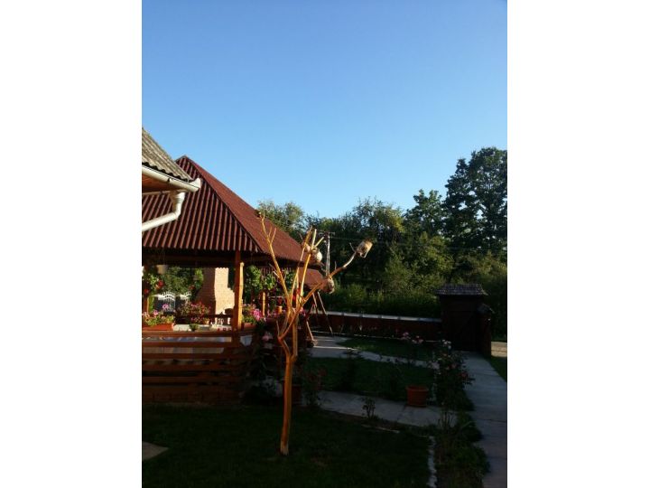 Pensiunea Maramures, Ocna Sugatag - imaginea