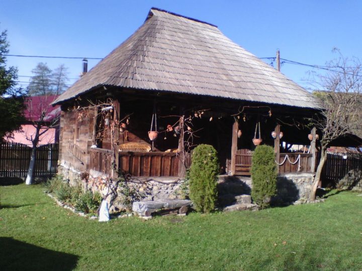 Camere de inchiriat casa de vacanta rustica, Valcea - imaginea 