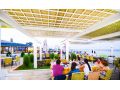Hotel Phoenicia Holiday Resort, Mamaia - thumb 26
