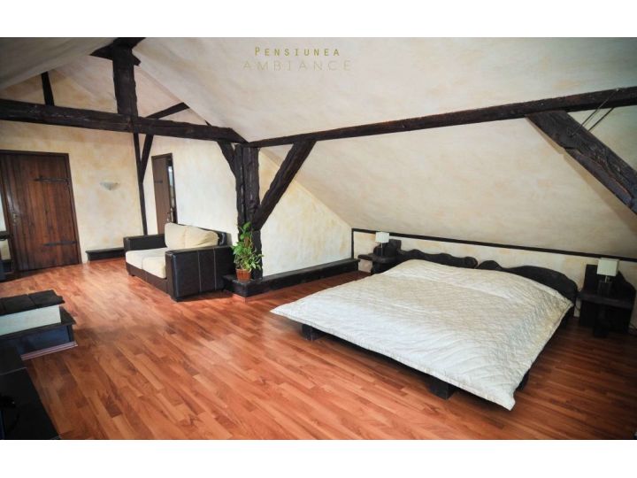 Pensiunea Ambiance, Scheia - imaginea 