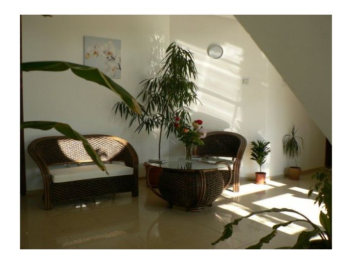 Pensiunea Casa Havana, Costinesti - imaginea 