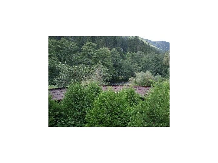 Pensiunea Moara la Fagadau, Baile Tusnad - imaginea 