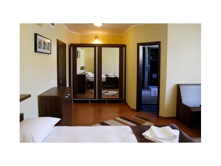 Pensiunea Casa Micu, Sibiu-Oras - imaginea 
