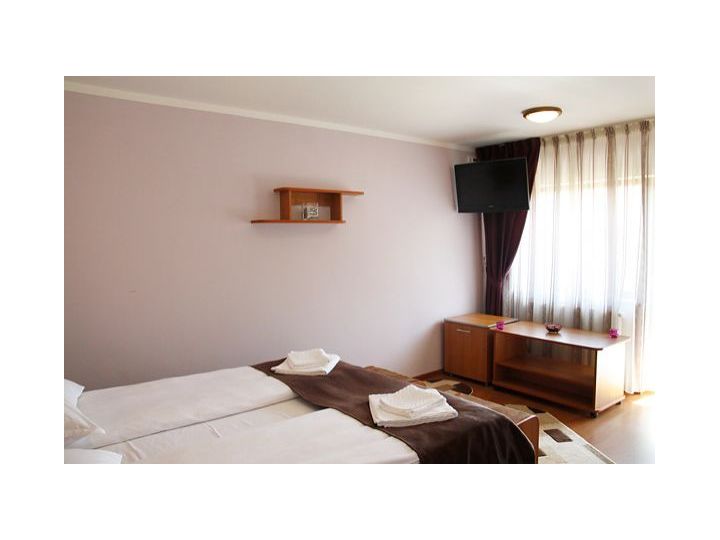 Pensiunea Casa Micu, Sibiu-Oras - imaginea 