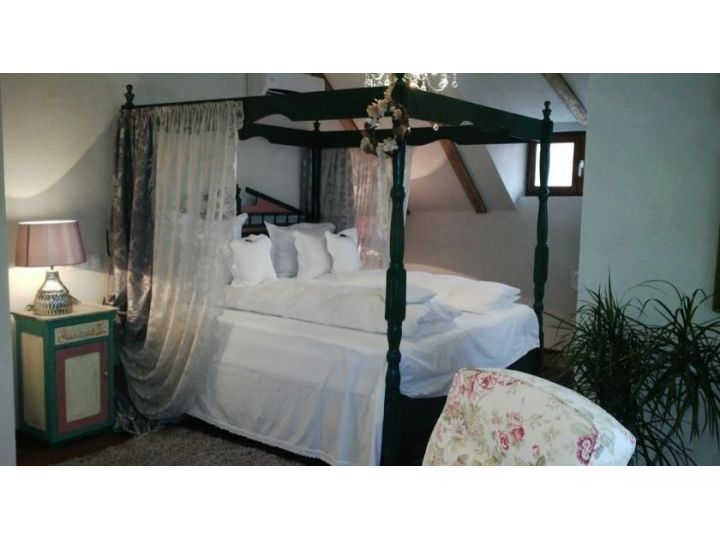 Pensiunea Casa Cositorarului, Sighisoara - imaginea 