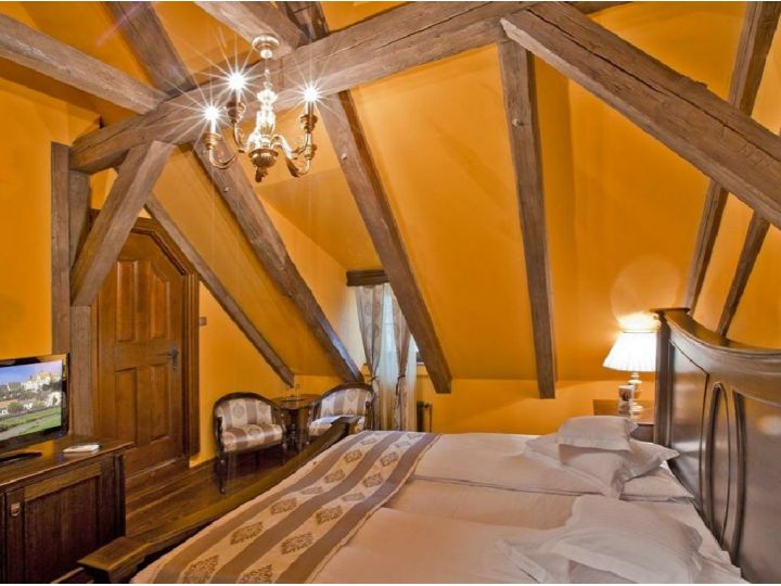 Pensiunea Casa Georgius Krauss, Sighisoara - imaginea 