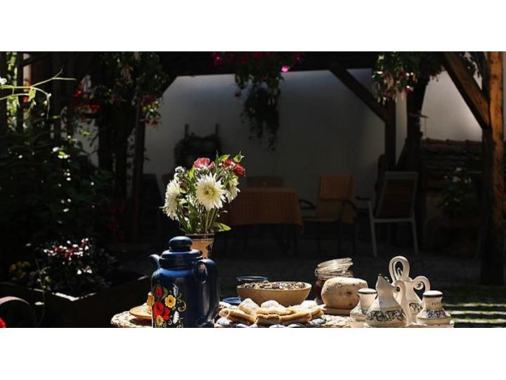 Hotel Fronius Boutique Residence, Sighisoara - imaginea 