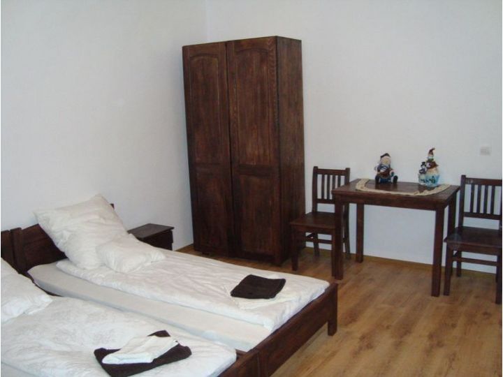 Pensiunea Casa Adalmo, Sighisoara - imaginea 