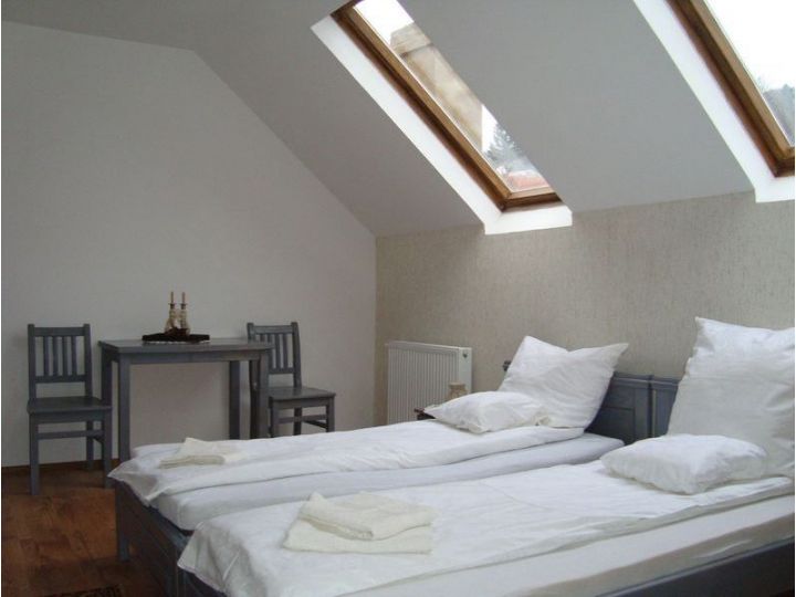 Pensiunea Casa Adalmo, Sighisoara - imaginea 