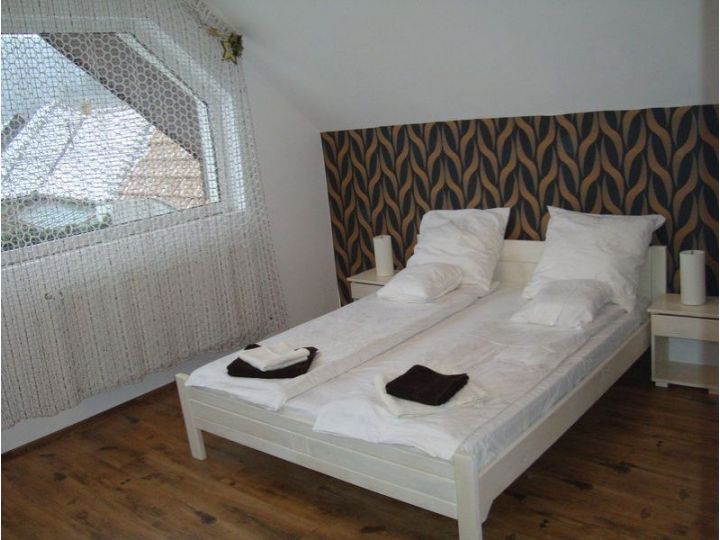 Pensiunea Casa Adalmo, Sighisoara - imaginea 