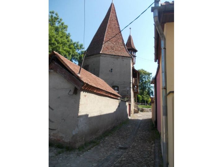 Pensiunea Casa Lia, Sighisoara - imaginea 