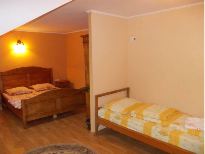 Pensiunea Casa Lia, Sighisoara - imaginea 