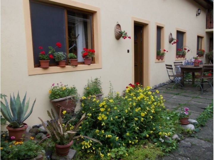 Pensiunea Casa Lia, Sighisoara - imaginea 