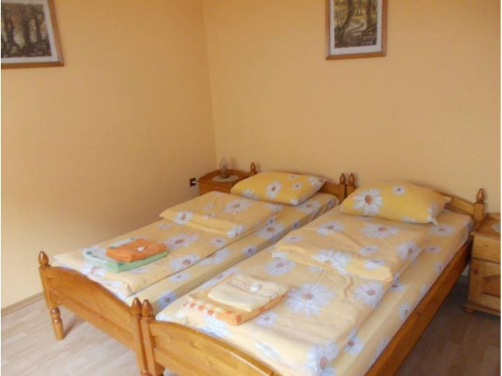 Pensiunea Casa Lia, Sighisoara - imaginea 