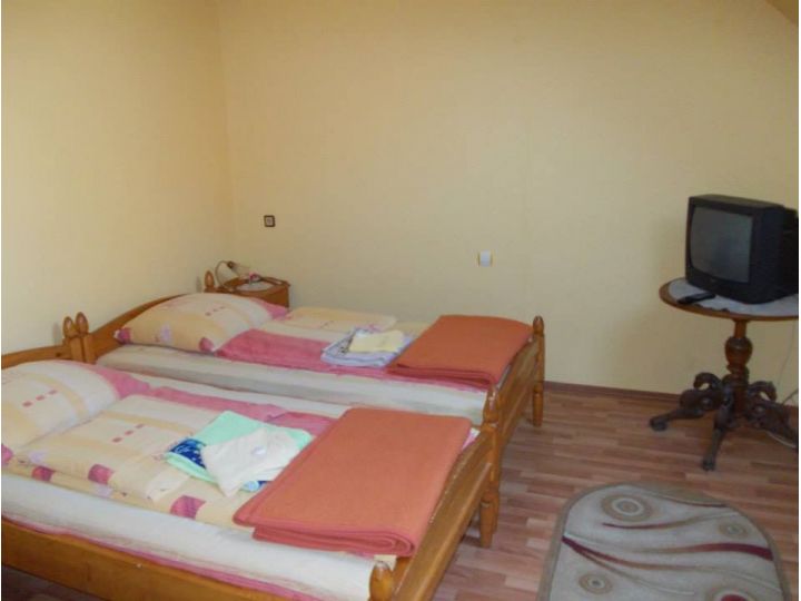 Pensiunea Casa Lia, Sighisoara - imaginea 