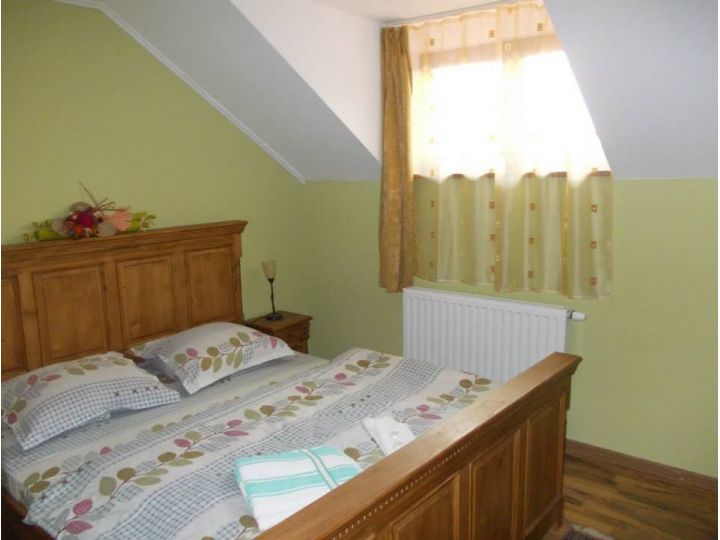 Pensiunea Casa Lia, Sighisoara - imaginea 