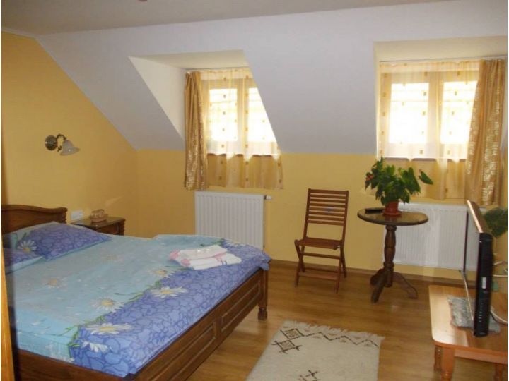 Pensiunea Casa Lia, Sighisoara - imaginea 