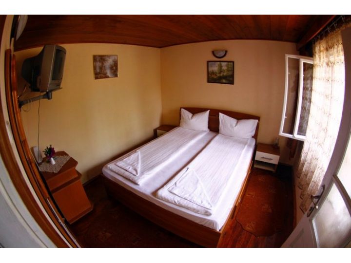 Pensiunea Faur - Cristina si Pavel, Sighisoara - imaginea 