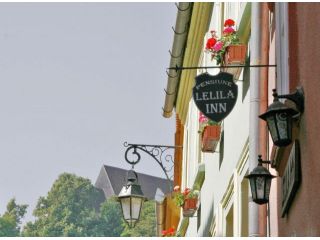 Pensiunea Lelila Inn, Sighisoara - 1