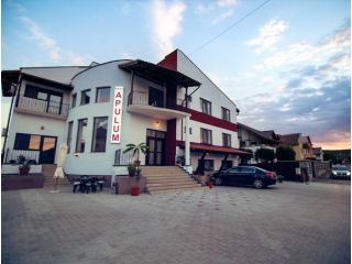 Pensiunea Apulum, Alba-Iulia - 2
