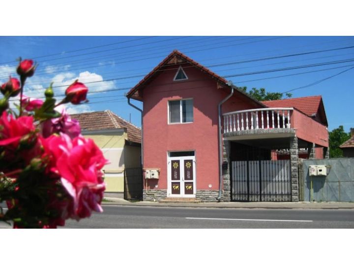 Hostel Citadel, Alba-Iulia - imaginea 