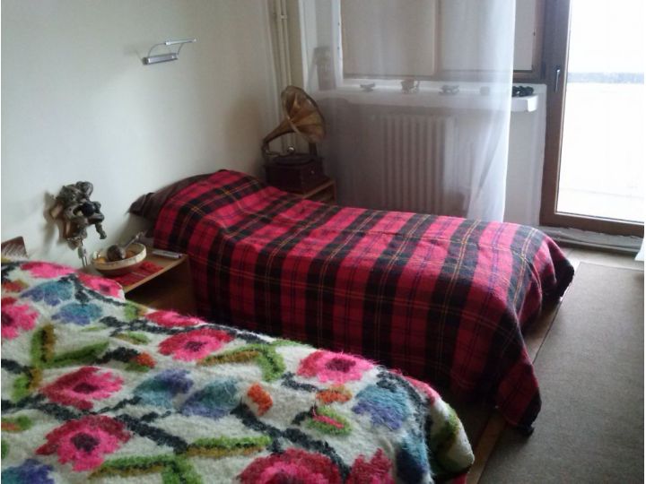 Hostel Strong, Alba-Iulia - imaginea 
