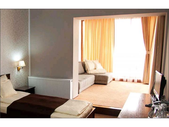 Hotel Hanul de la Rascruce, Arad oras - imaginea 