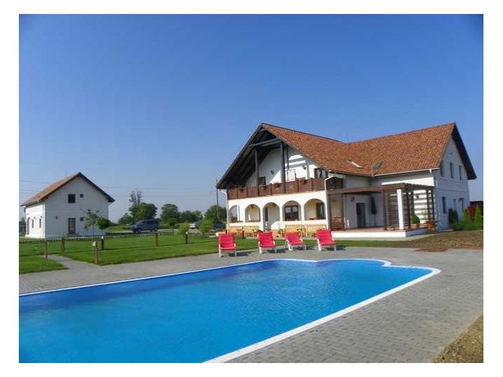Pensiunea Apfel Haus, Arad oras - imaginea 
