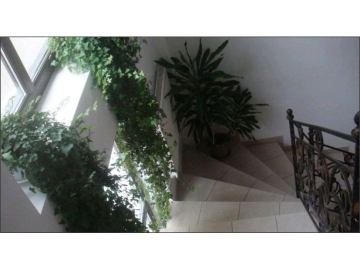 Vila Edera Residence, Bucuresti - imaginea 