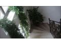 Vila Edera Residence, Bucuresti - thumb 2