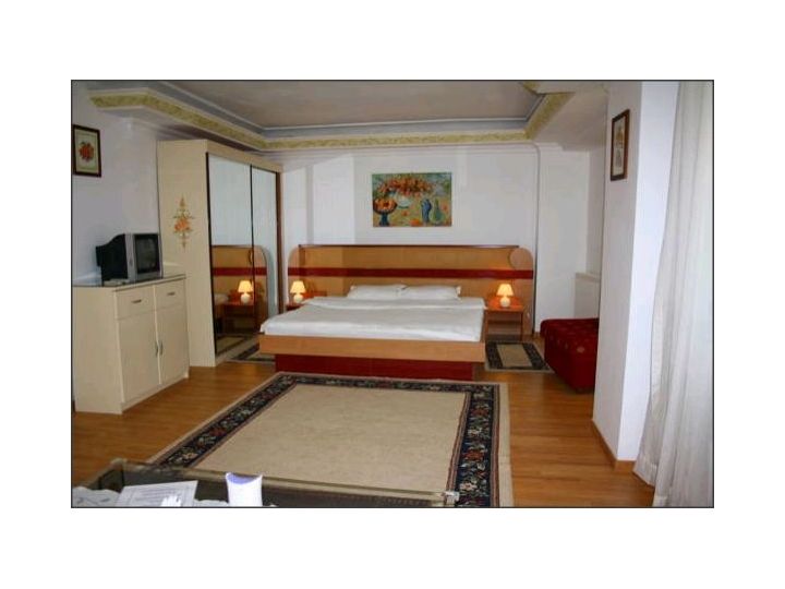 Pensiunea Villa Tamara, Bucuresti - imaginea 
