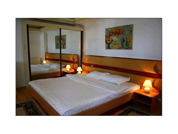 Pensiunea Villa Tamara, Bucuresti - imaginea 