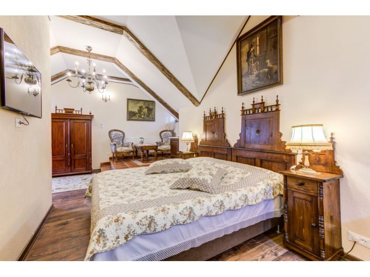 Hotel Conacul Ambient, Cristian - imaginea 