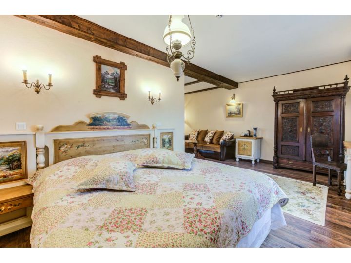 Hotel Conacul Ambient, Cristian - imaginea 