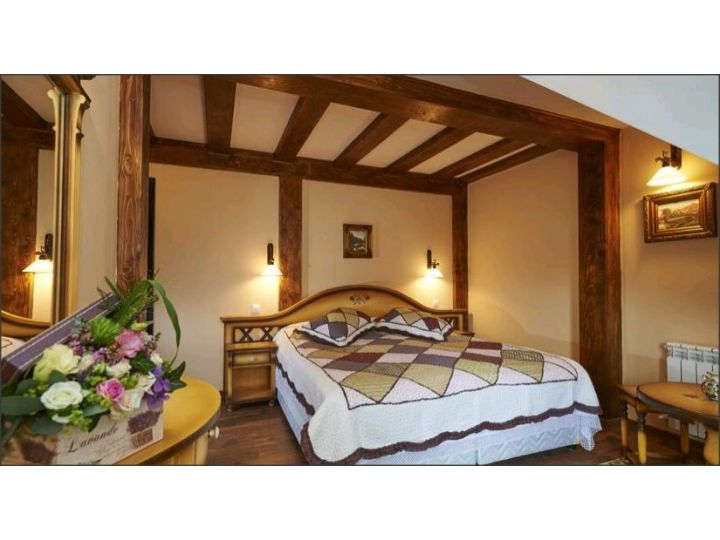 Hotel Conacul Ambient, Cristian - imaginea 