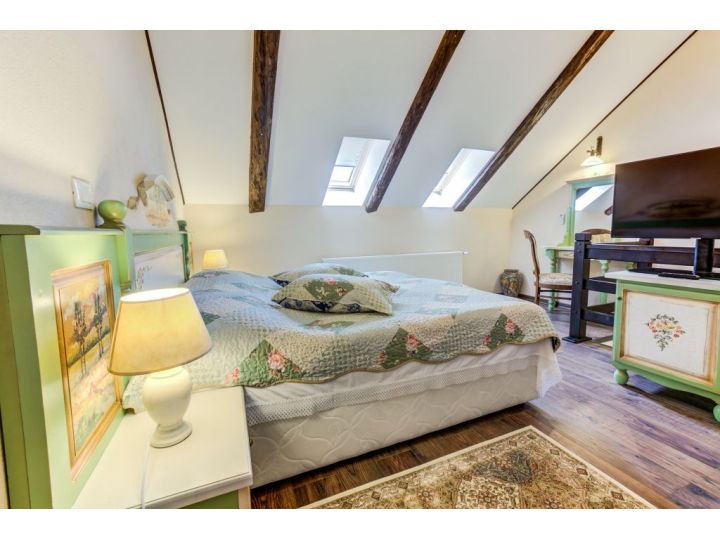 Hotel Conacul Ambient, Cristian - imaginea 