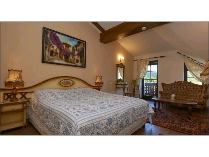 Hotel Conacul Ambient, Cristian - imaginea 