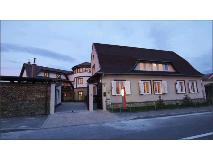 Hotel Conacul Ambient, Cristian - imaginea 