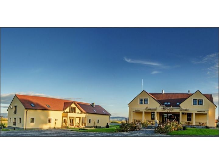 Hotel Conacul Benke, Moacsa - imaginea 