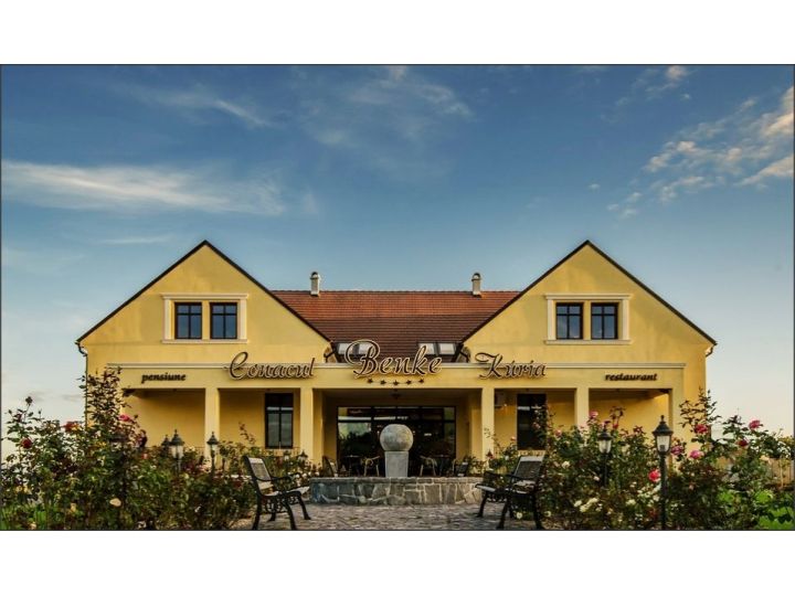 Hotel Conacul Benke, Moacsa - imaginea 
