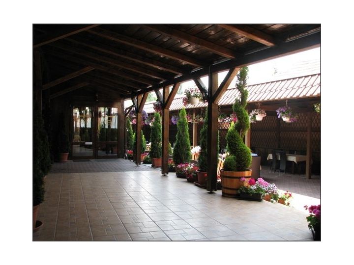 Hotel Malvina, Sannicolau Mare - imaginea 