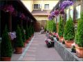 Hotel Malvina, Sannicolau Mare - thumb 10