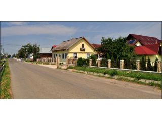 Pensiunea Casa Galbena, Arbore
