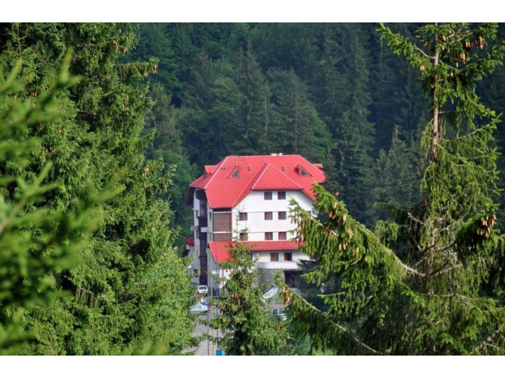 Hotel COTA O MIE, Sinaia - imaginea 