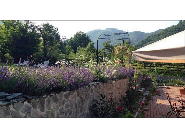 Pensiunea Gasthaus MARIA, Caransebes - imaginea 