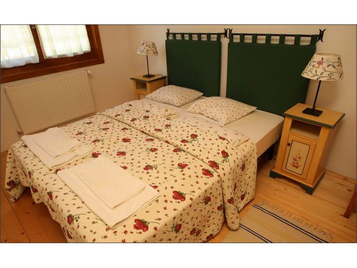 Pensiunea Gasthaus MARIA, Caransebes - imaginea 
